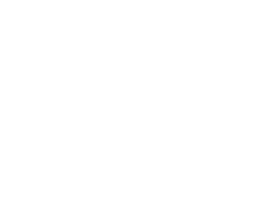 Action camera
